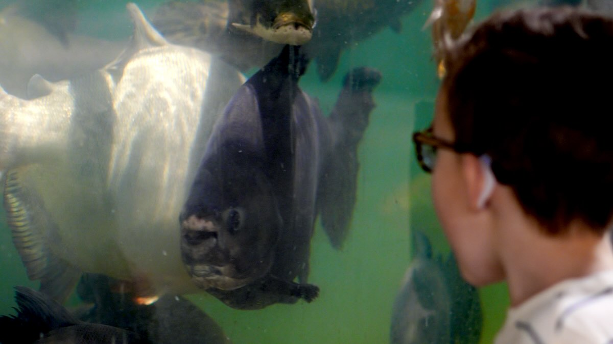 Jungle Reef | El Paso's First Interactive Aquarium